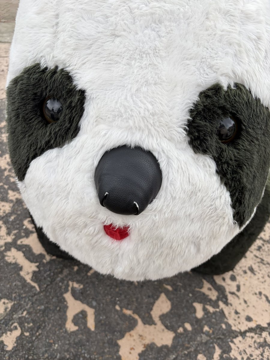 taisho_maeda916's tweet photo. 那須ハイランドパーク
来園イベント2日間
ありがとうございました！🏰✨

そして、
リリイベ3rd Seasonがスタート‼️
次回の #リリイベ王子くん は
明日 よさこい祭りin光が丘公園 2026！に
ｺﾘｺﾘｺﾘｺﾘ降臨LOVE♡

クレイジーな愛
始まりな予感🫶🤴💕 https://t.co/bNhZo41vTL
