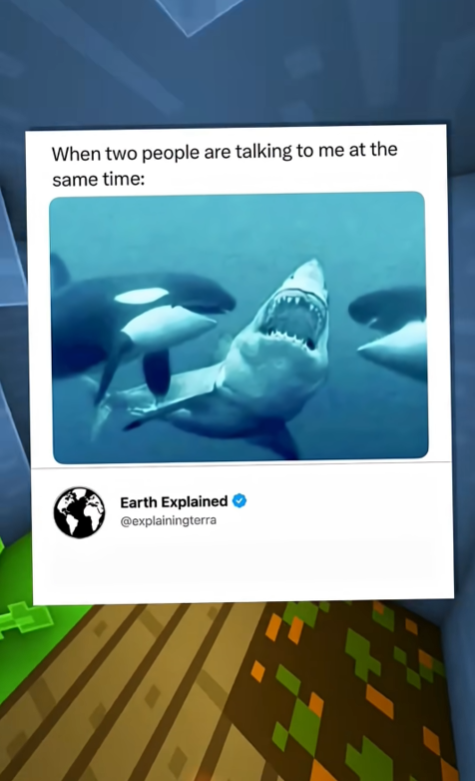 Aaron tweet media