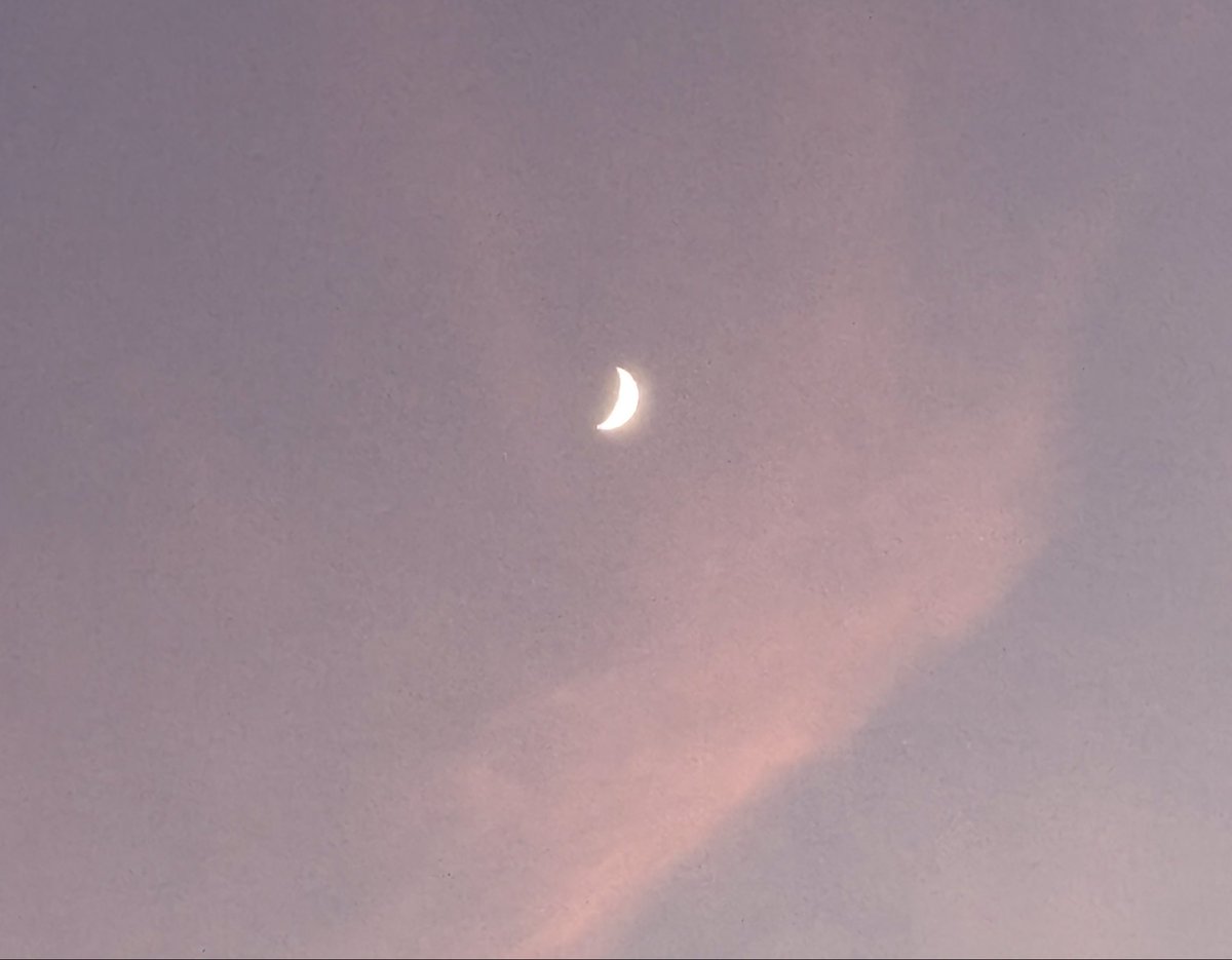 erhupia's tweet photo. 今夏初、蝉の声。
今日も1日お疲れさまでした。
#イマソラ https://t.co/3ZlM5knCvP