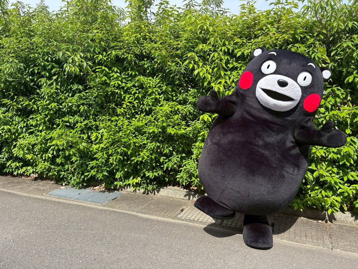 55_kumamon's tweet photo. おはくま～！今日も1日よろしくま☆ https://t.co/7J0muP1HnF