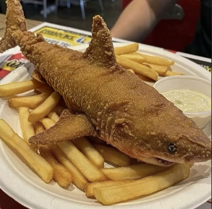 Ligerincrisis's tweet photo. Everything is special about you, but you're just food on the menu🦈🤡 https://t.co/0pw3OI2Tbo