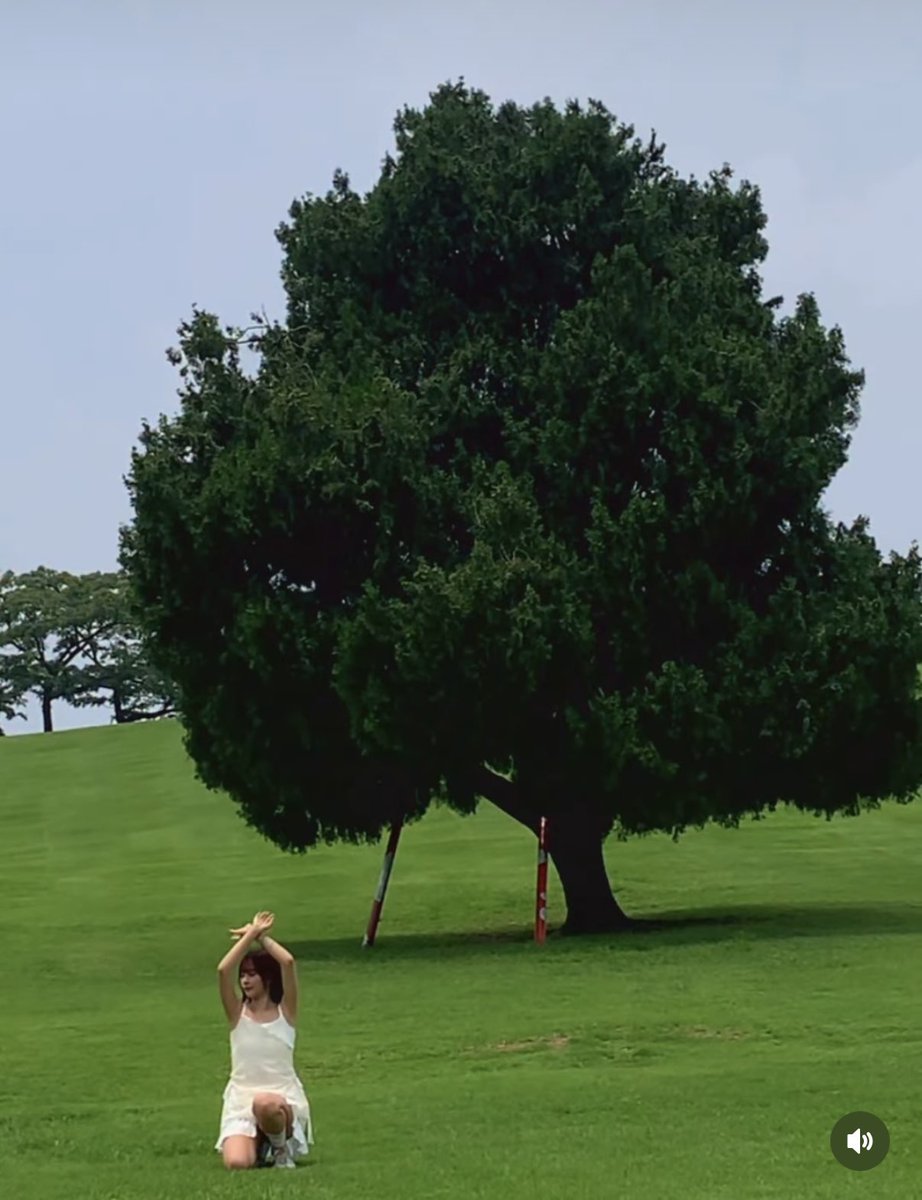 CSR_loves's tweet photo. 泣いた🥲
グミちゃんあの木の前でオヌブト踊ってるし衣装もだいぶ寄せてる🤣🌲
#금희 #GEUMHEE #첫사랑 #CSR
#여자친구 #GFRIEND https://t.co/mGQ4zQZScl