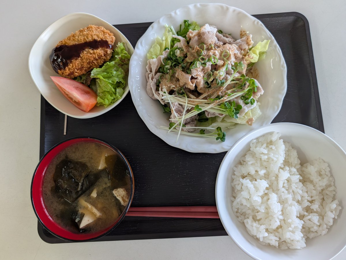 team HAMAMATSU tweet media