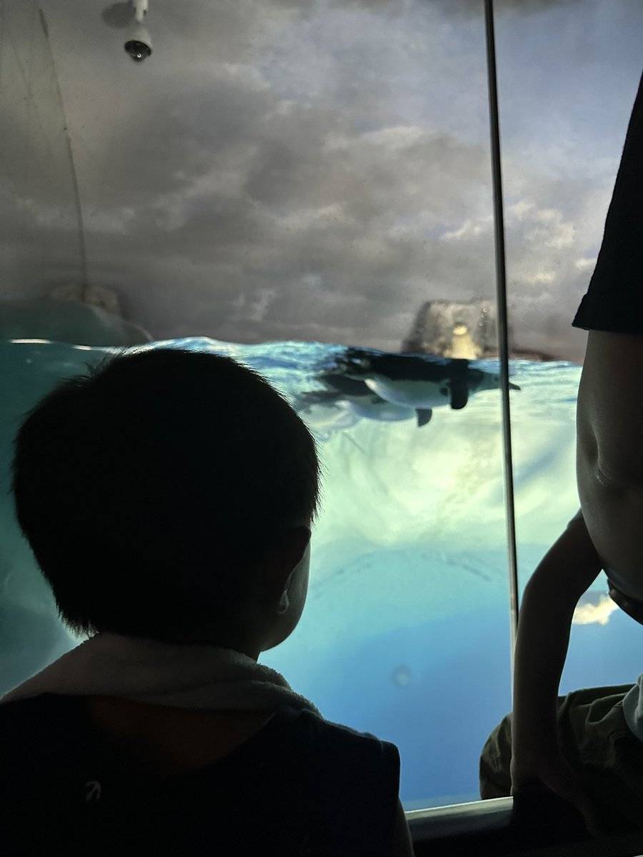 kohei805's tweet photo. 人生初名古屋港水族館
子もついでにお初
水族館行ったら魚食べる
これこの世の理 https://t.co/y819rxSE0F