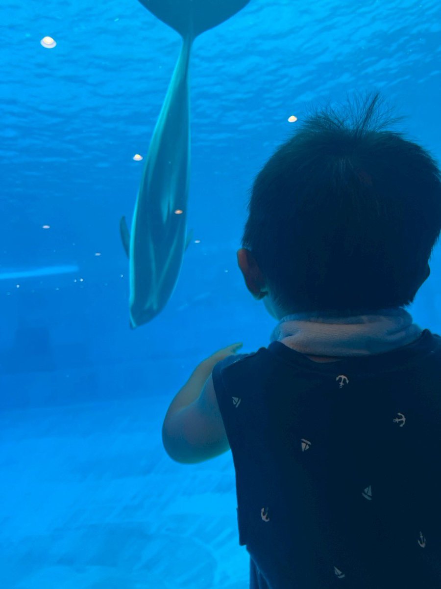 kohei805's tweet photo. 人生初名古屋港水族館
子もついでにお初
水族館行ったら魚食べる
これこの世の理 https://t.co/y819rxSE0F