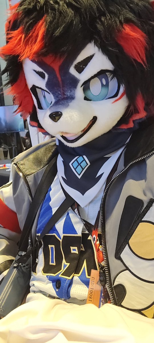akaya_ookami's tweet photo. 新毛到处乱晃！ https://t.co/pkis2HsbtF