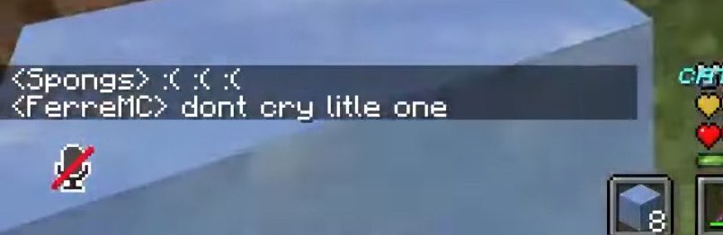 user274827iklb's tweet photo. missing lifesteal world like a mf rn https://t.co/WXgomw9kQX