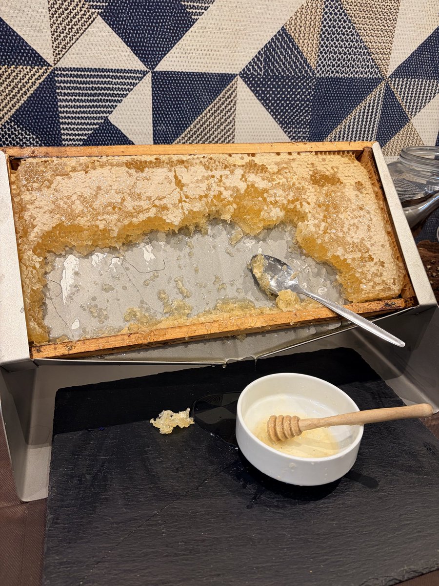 Kaya_vlcak's tweet photo. 今日のホテルは朝食会場にも犬OKだった🙆🏻‍♀️（宿泊は大丈夫でもビュッフェなので朝ごはんの時は部屋待機のホテルも多い）
最後の写真は朝ごはんのハチミツ🍯🐝 https://t.co/gpfQH50IJd