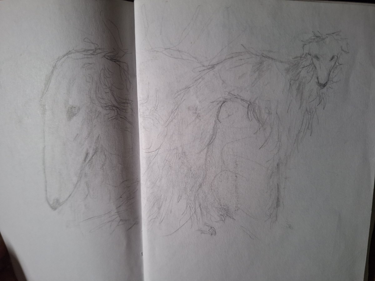 bloodautomaton's tweet photo. Old Borzoi sketches I hope to adopt one in the future^^ ignore how shit the photo is https://t.co/MF67VIxYxV