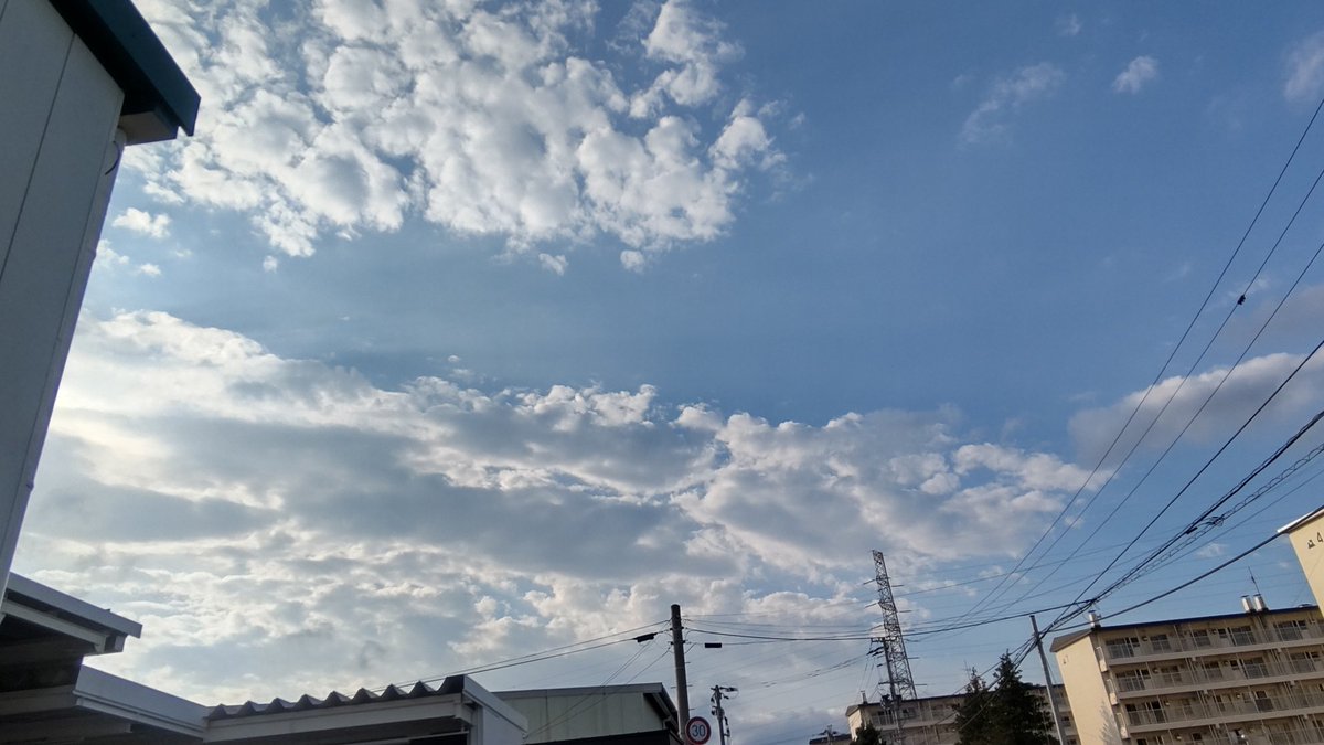 awashimas's tweet photo. こんばんは、今日も雲が多目でしたが、青空も広がって暑い一日でした。夕方近くなって風も出て来ました。 https://t.co/4DknjkbOfI