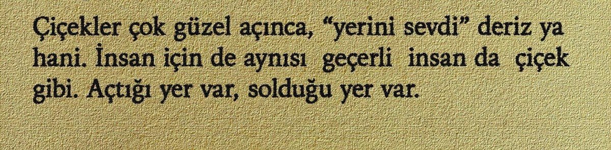 ardiskusu's tweet photo. 19 temmuz https://t.co/mhn9Ol9MwJ