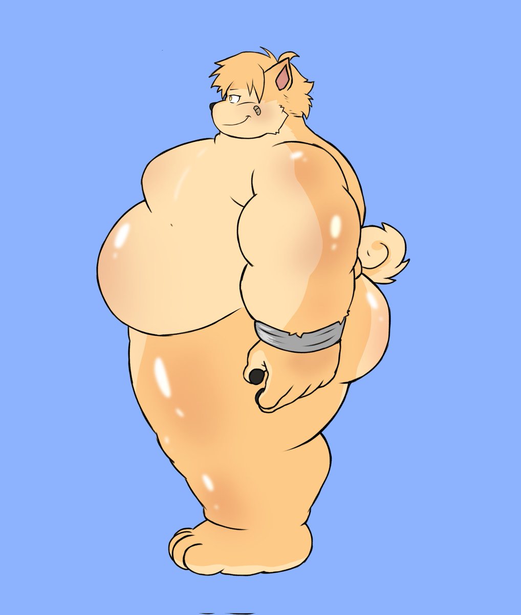Cobalt_kuma's tweet photo. Phatass dog https://t.co/Xo63oz9HW5