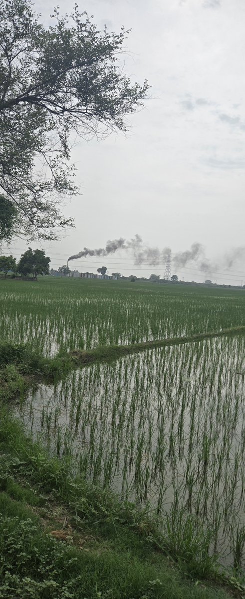 AnoopPoswal's tweet photo. @CPCB_OFFICIAL @YamunaAuthority please watch it and is this legal koi nahi hai dekhne wala ki ye sab kya ho rha hai ye log sabhi ki zindagi ke sath khel rahe hai https://t.co/VEShLXSZKV