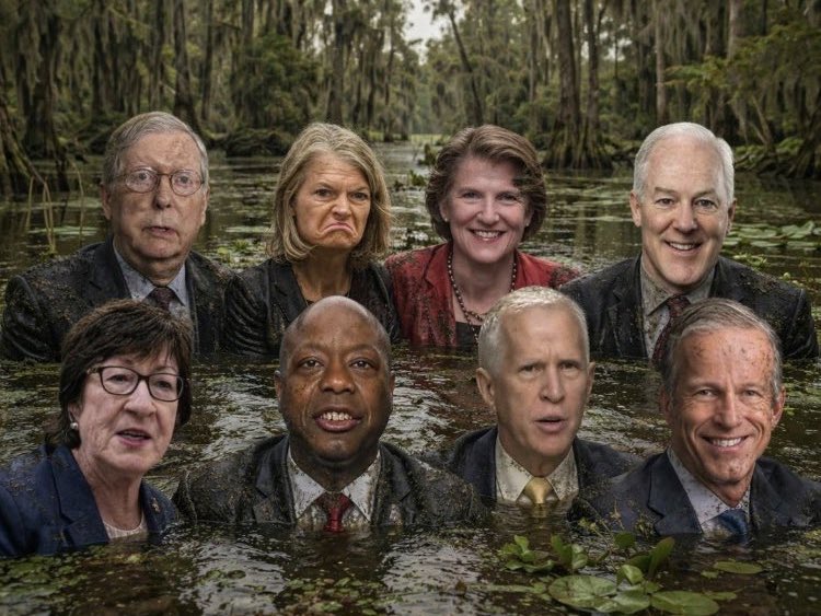 Gunther Eagleman reports viral X call to remove Mullin, DeLauro — related image 2 Gunther Eagleman reports viral X call to remove Mullin, DeLauro — related image 2