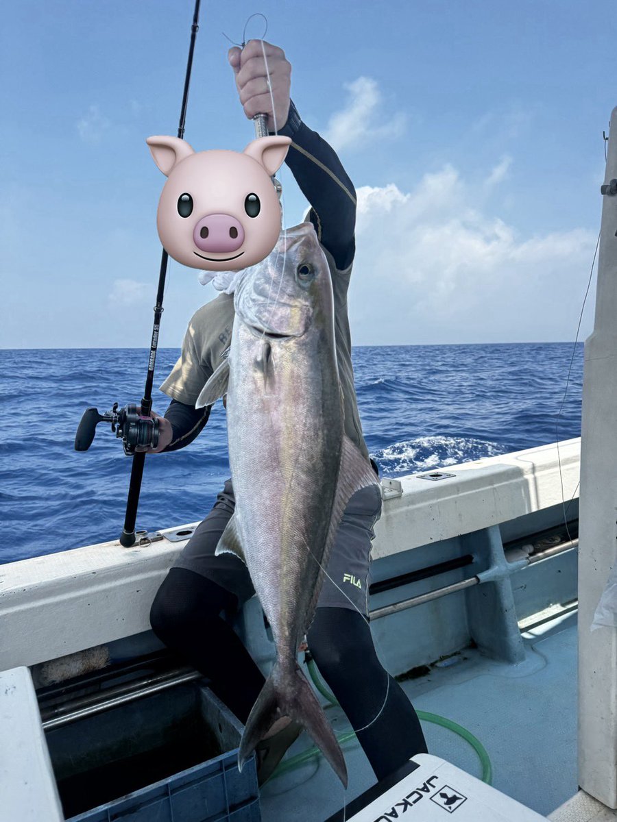 D_Bonito262's tweet photo. 初の六ノ瀬、森ノ瀬行ってきました！！
年初めに買ったルタドールをやっと鱗付けできました☺︎☺︎
70オーバー11kg程のカンパチ‼️

感無量です‼️
ルタドール船上でも良き眺めです😆

尚ジグは300gでした♪♪

#bombada
#ボンバダ
#ルタドール
#ルタドール55
#六ノ瀬
#森ノ瀬 https://t.co/CzCjW8srV8