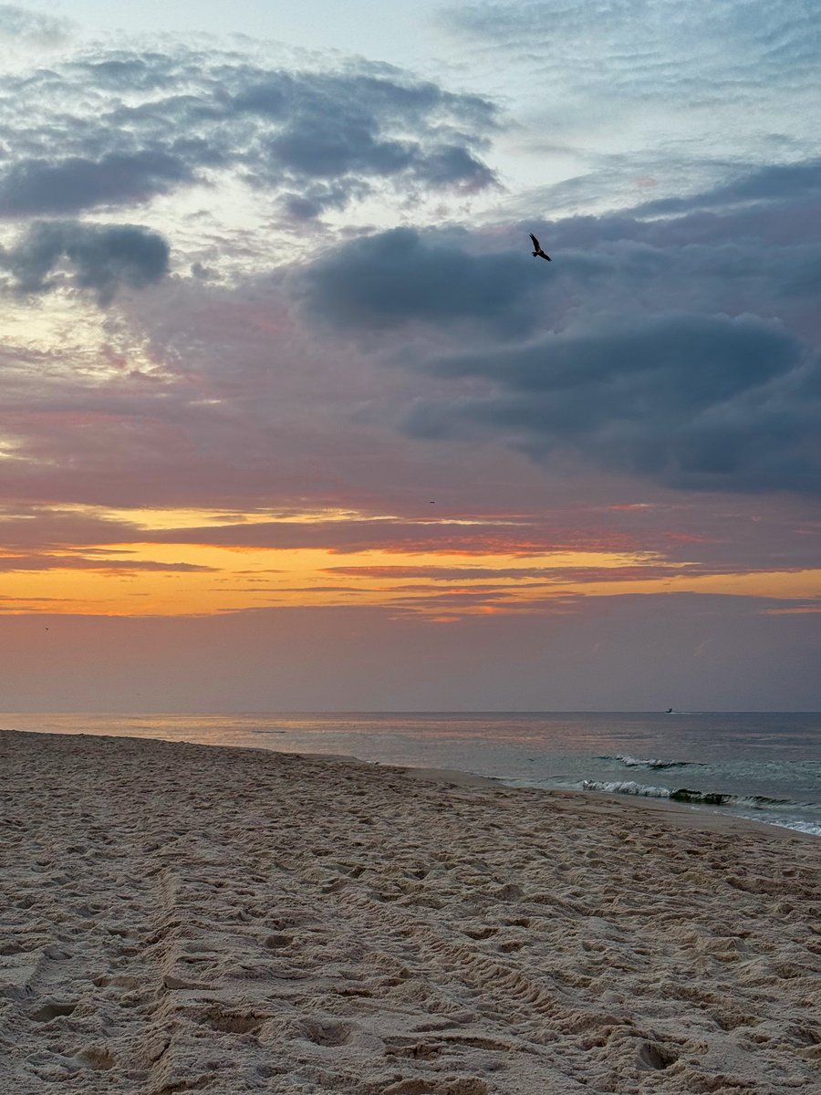 cityorangebeach's tweet photo. Good morning from Orange Beach, Alabama. https://t.co/PdScKKH4Vx