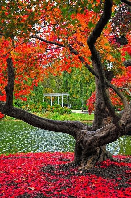 GOOdFamousplace's tweet photo. https://t.co/KvwNpz9k9O