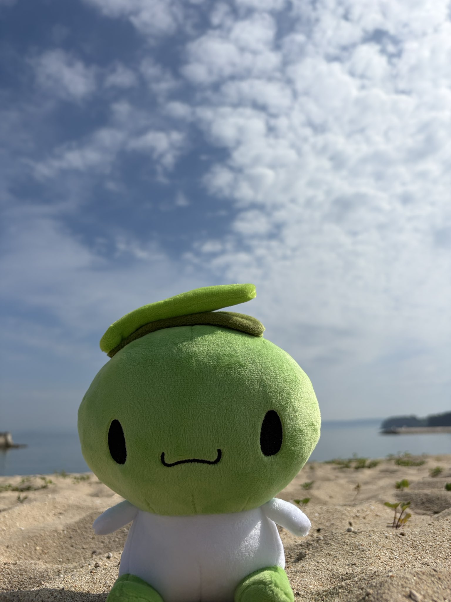 オリーブしまちゃん公式【香川県・小豆島】 on X: 