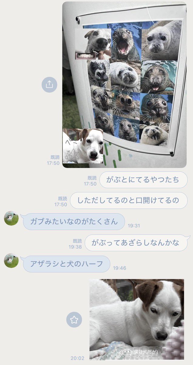 1709l1's tweet photo. 水族館にて発見あざらし https://t.co/9NaeAwvfLL