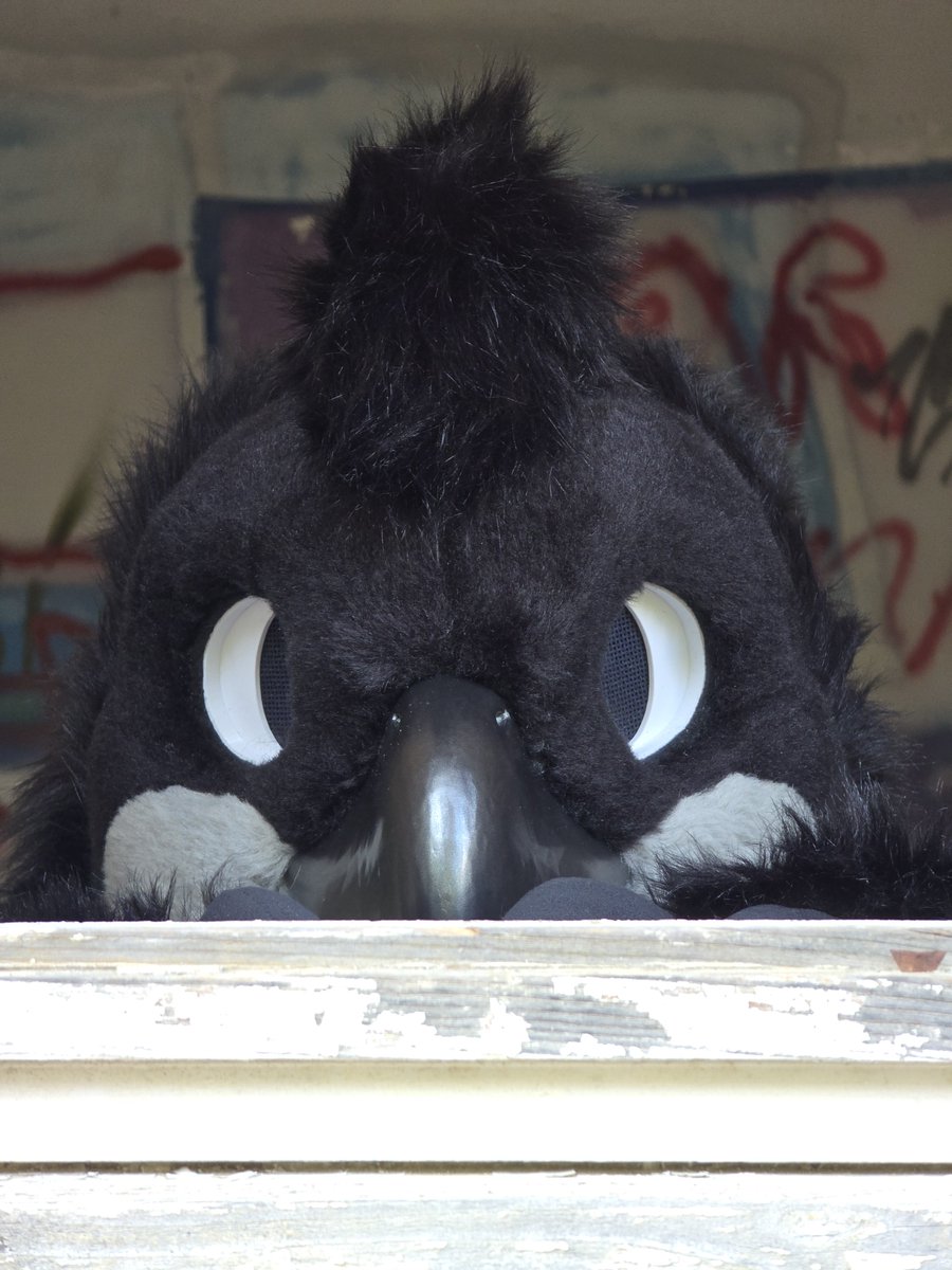 BasterTomo's tweet photo. @_Fennegan_ @ArgetandLazuli I can give you both front eyes https://t.co/NgRzUVaJnA