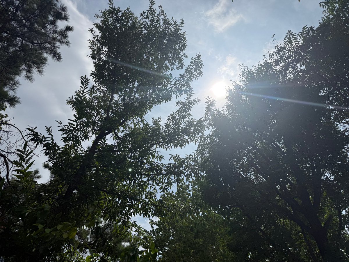 leowoned's tweet photo. 260719 plus chat update ➕💬

🦁 🌳🍃
🦁 the weather today is so nice hehe

#LEO #리오 https://t.co/P63ARc1fte