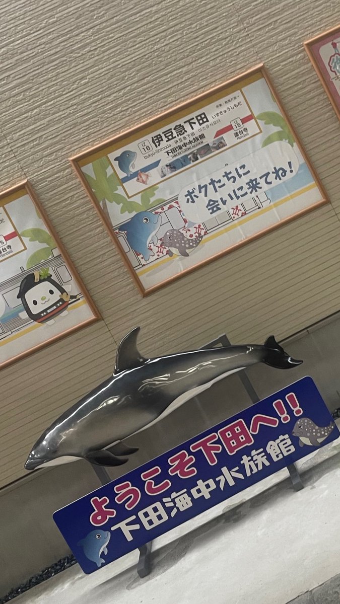 perurinchoo's tweet photo. 🎣🌊人生初‼️漁港でマジックショー🎩✨

なんと今回は…
120名以上が集まる🎣釣り大会🏆の表彰パーティーで余興🎉

実は私…
**「魚釣りマジック」**という演目があるんです🤣🐟

会場は伊豆・下田🐠🌊

車🚗で約5時間か…
電車🚃で約4時間か…

めちゃくちゃ悩みましたが…
今回は電車を選択‼️

結果……

✨✨大・正・解✨✨

移動中に寝たり💤
SNSを書いたり📱
告知したり✨
作業がたくさんできました😊

初めて降りる伊豆急下田駅はワクワク😆

会場へ向かうと…

🌊海ーーーーーーー‼️😍

もう海の目の前✨

しかも虹まで🌈✨

景色が最高すぎてテンション爆上がりでした🤣

さらに🎤
立派なヘッドセットマイク✨

海風が気持ちよくて、
「このままショーじゃなくて昼寝したい…😪」
なんて思ったのは内緒です🤣笑

ショーでは🎩✨

お客様参加型マジック🙌
全員参加マジック🎉

そして…

🎣魚釣りマジックーーー‼️🐟

ここでやらずに、いつやるの⁉️🤣

普段はライブで披露することが多い演目ですが、
営業でできるなんて最高✨

魚だけじゃなく…
皆さんの笑顔もしっかり釣らせていただきました😆🎣💕

後ろのお客様にも楽しんでいただけるように会場を歩き回りながらショー🏃💨

すると…

👏👏👏アンコール‼️👏👏👏

しっかり追加でマジックを披露🎩✨

たくさん笑っていただき、
人生初の漁港でのマジックショーは大成功でした🎉🎉🎉

そして終演後は…

🚃終電までダッシュ💨💨💨

なんとか8時半前の終電に飛び乗り🤣

家に着いたのは深夜1時🏠🌙

🎩出演時間 約30分
🚃移動時間 約9〜10時間🤣🤣🤣

完全に…

**「移動がメインで、マジックは特典」**みたいな一日でした😂笑

でも、とっても楽しい思い出になりました😊✨

お声掛けくださった
あっきーちゃん✨
新井さん✨

ありがとうございました🙇‍♀️💕

また海のそばでマジックができますように🌊🎩✨

#マジシャンペル #マジックショー #魚釣りマジック #釣り大会 #伊豆 #下田 #旅館イベント #出張マジック #イベント出演 #余興 #アンコール #海が好き #虹 #笑顔を釣る #人生初 #楽しい一日