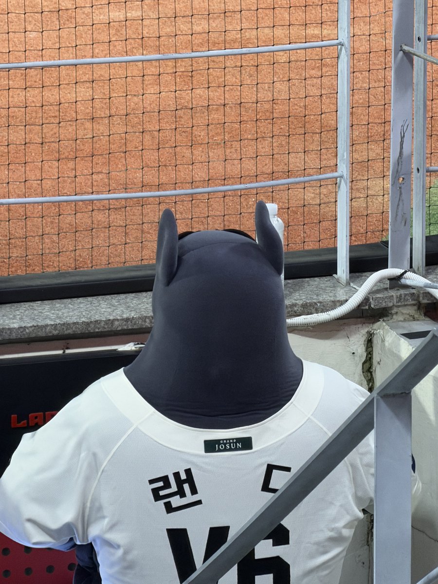 5iat1gers's tweet photo. 경고 먹어서
지금 반지하에서 응원하고 잇어 ㅆㅂ https://t.co/q8FUMaT3Iz