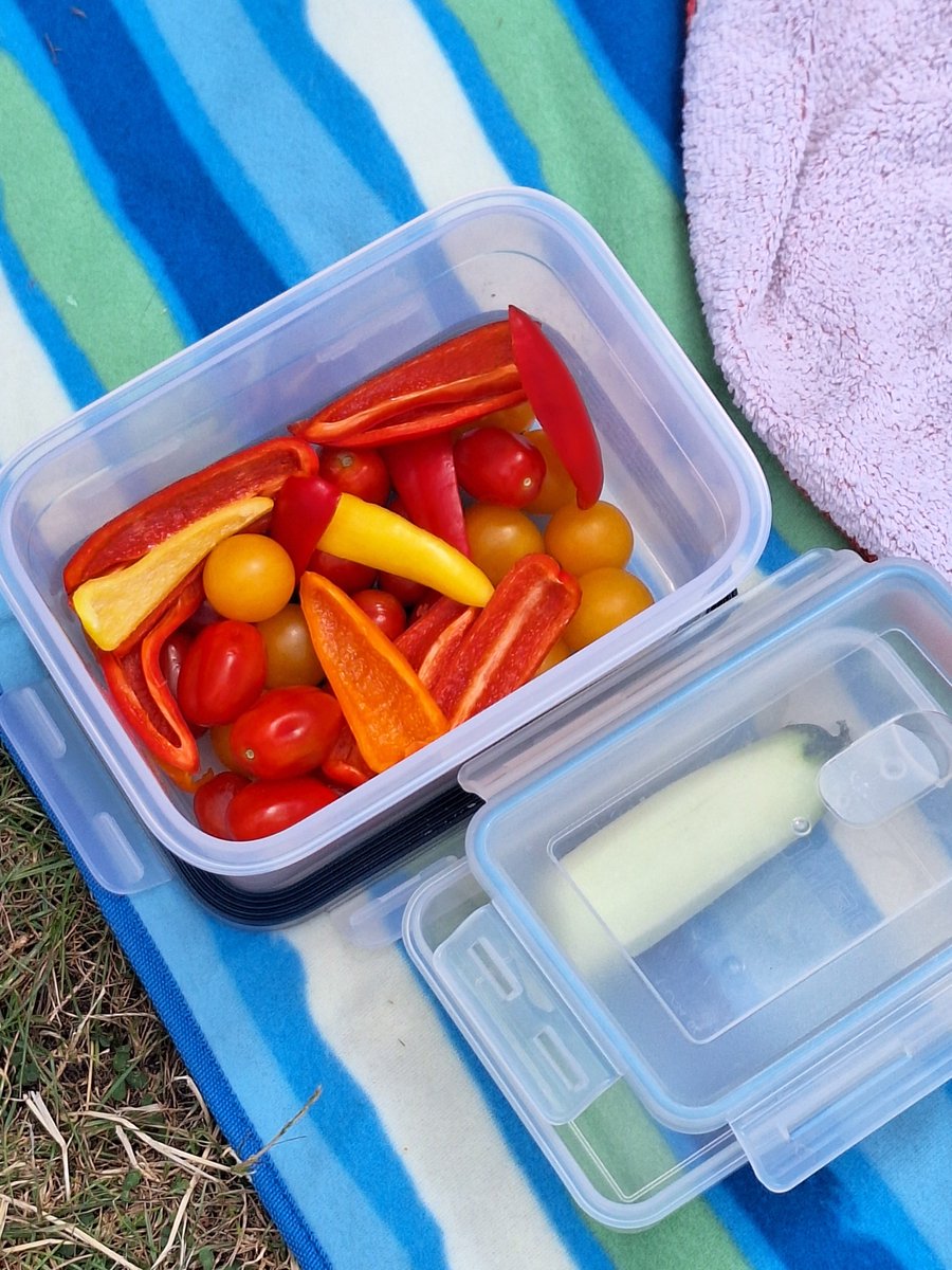 KolnOmas's tweet photo. Picknick gegen Salafisten. Mit Kundgebung in Hörweite von #HannaHansen und ihrer Indoktrination. https://t.co/bB6VZ0b2Kn
