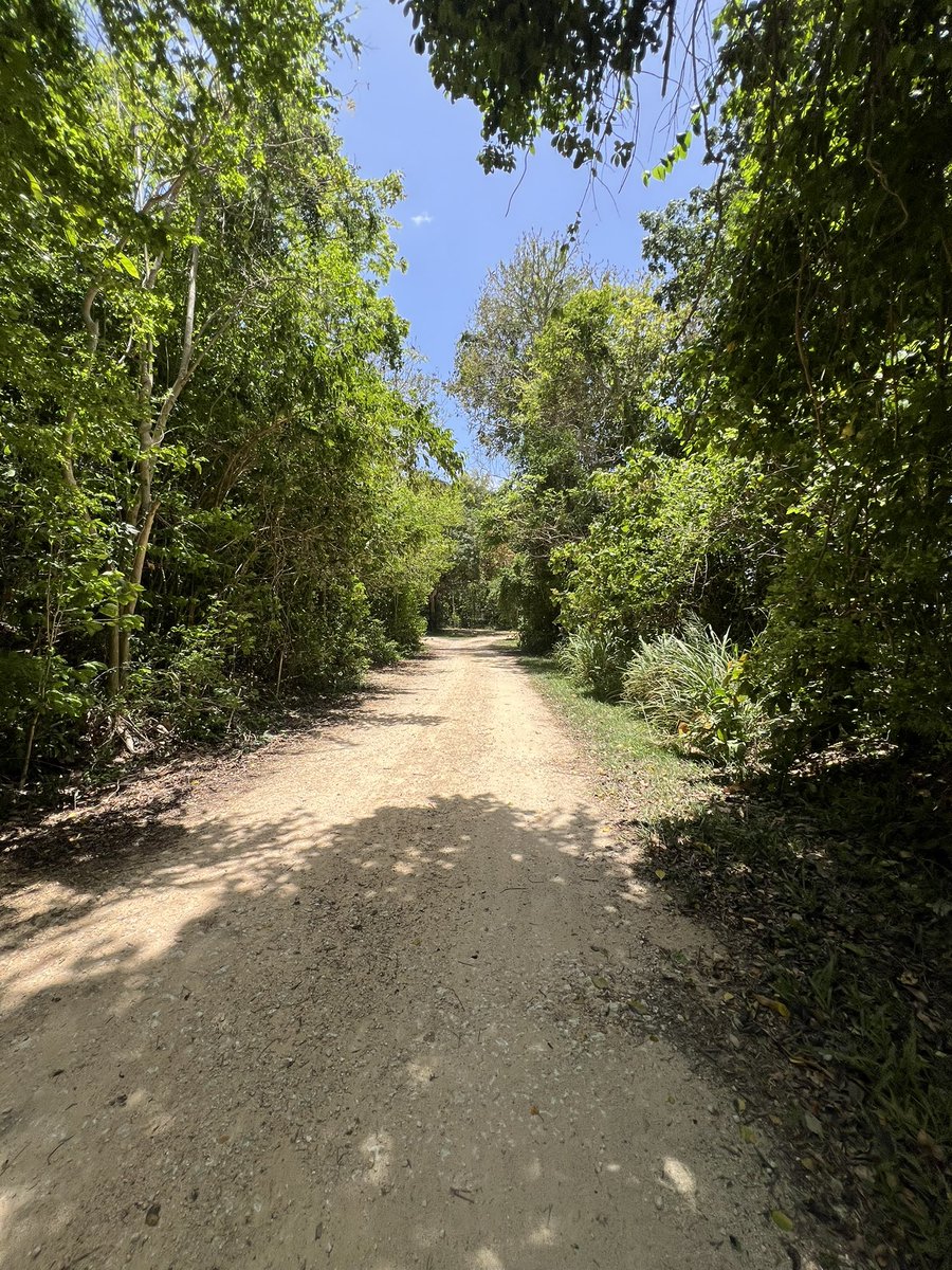 Yoyozam's tweet photo. Hacienda La Esperanza, Manati, PR https://t.co/o6yV11hMdI