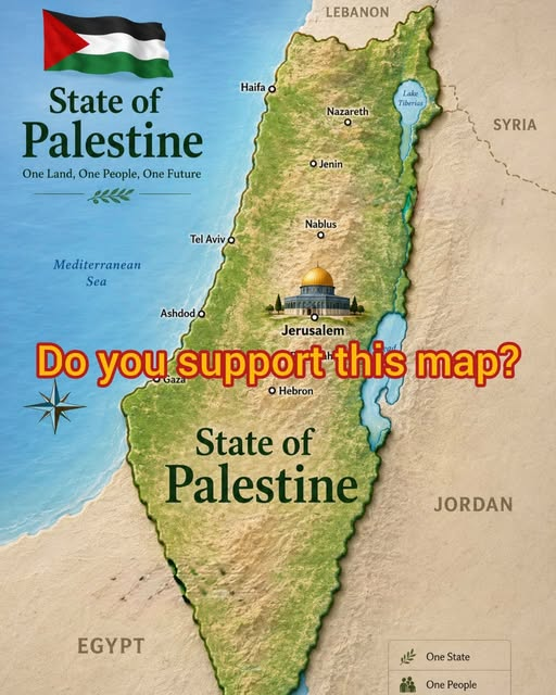 Naila Ayad🇵🇸 tweet media