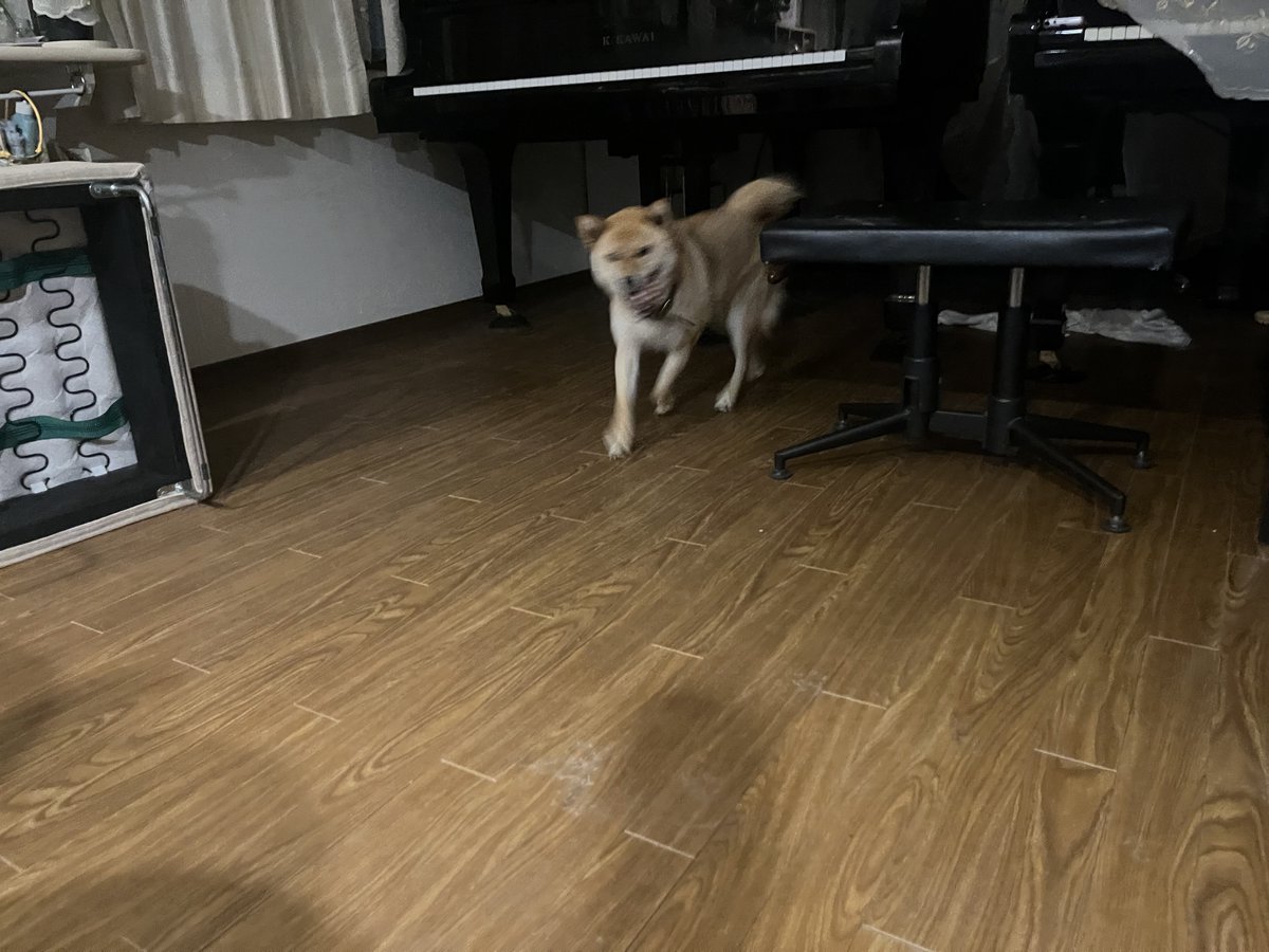 poprisun's tweet photo. https://t.co/JFZz04ZZWm
