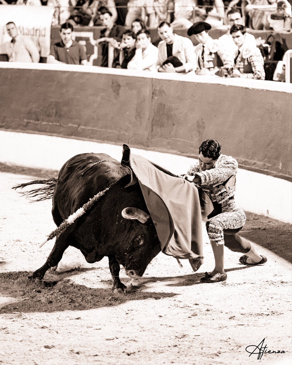 Atienza_Edu's tweet photo. 📸 • Mario Navas. Copa Chenel Alalpardo 2026.
•
•
•
Fotografías originales de Edu Atienza.
@mario_navas1 
@CopaChenel 
#Toros #Cultura #Madrid https://t.co/GsXt6hHecW