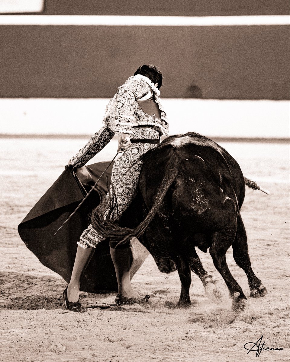 Atienza_Edu's tweet photo. 📸 • Mario Navas. Copa Chenel Alalpardo 2026.
•
•
•
Fotografías originales de Edu Atienza.
@mario_navas1 
@CopaChenel 
#Toros #Cultura #Madrid https://t.co/GsXt6hHecW