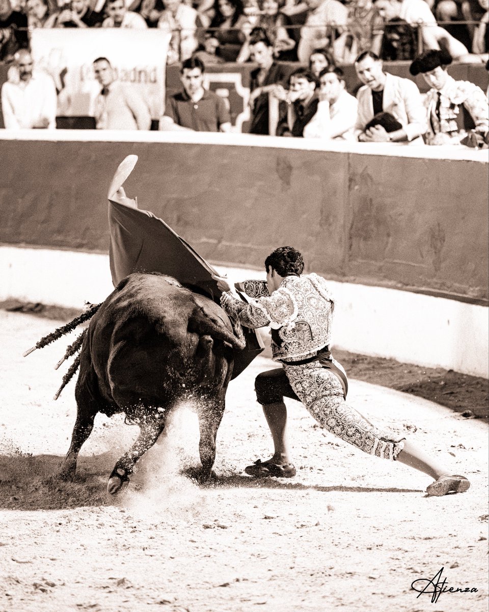 Atienza_Edu's tweet photo. 📸 • Mario Navas. Copa Chenel Alalpardo 2026.
•
•
•
Fotografías originales de Edu Atienza.
@mario_navas1 
@CopaChenel 
#Toros #Cultura #Madrid https://t.co/GsXt6hHecW