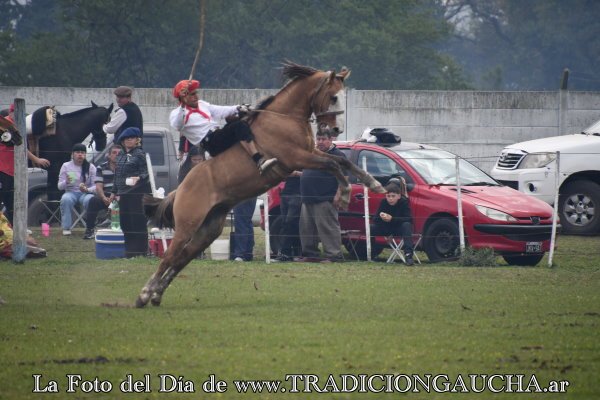 tradiciongaucha's tweet photo. 📸 #FotoDelDía #Jineteada #Tradición
https://t.co/JAtNwCTFCI https://t.co/cqzaiGgcEU