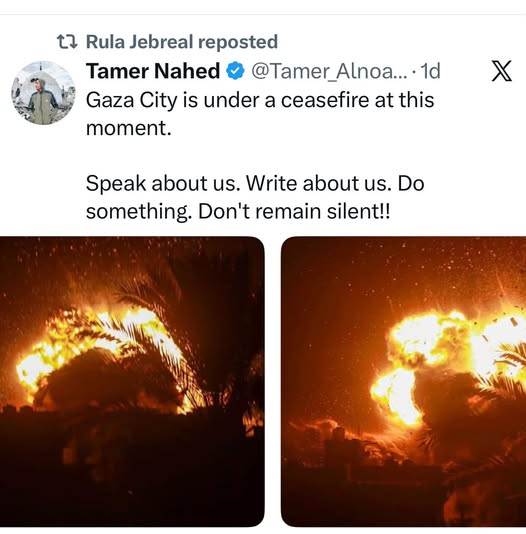 Naila_Ayad's tweet photo. Do something! #GazaGenocide‌ https://t.co/btwqSs76l6