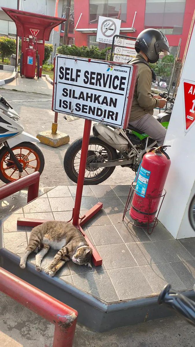 dimasdwikidrmwn's tweet photo. mentang-mentang self service, ini pegawainya malah tidur nih pak, @pertamina tolong di tindak😭 https://t.co/43jYVP7uIQ
