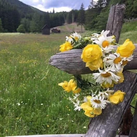 CSibiescu's tweet photo. „Vine o vreme când înţelegi că liniştea ta este mai importantă decât zgomotul lumii.” https://t.co/6JNW74P65t