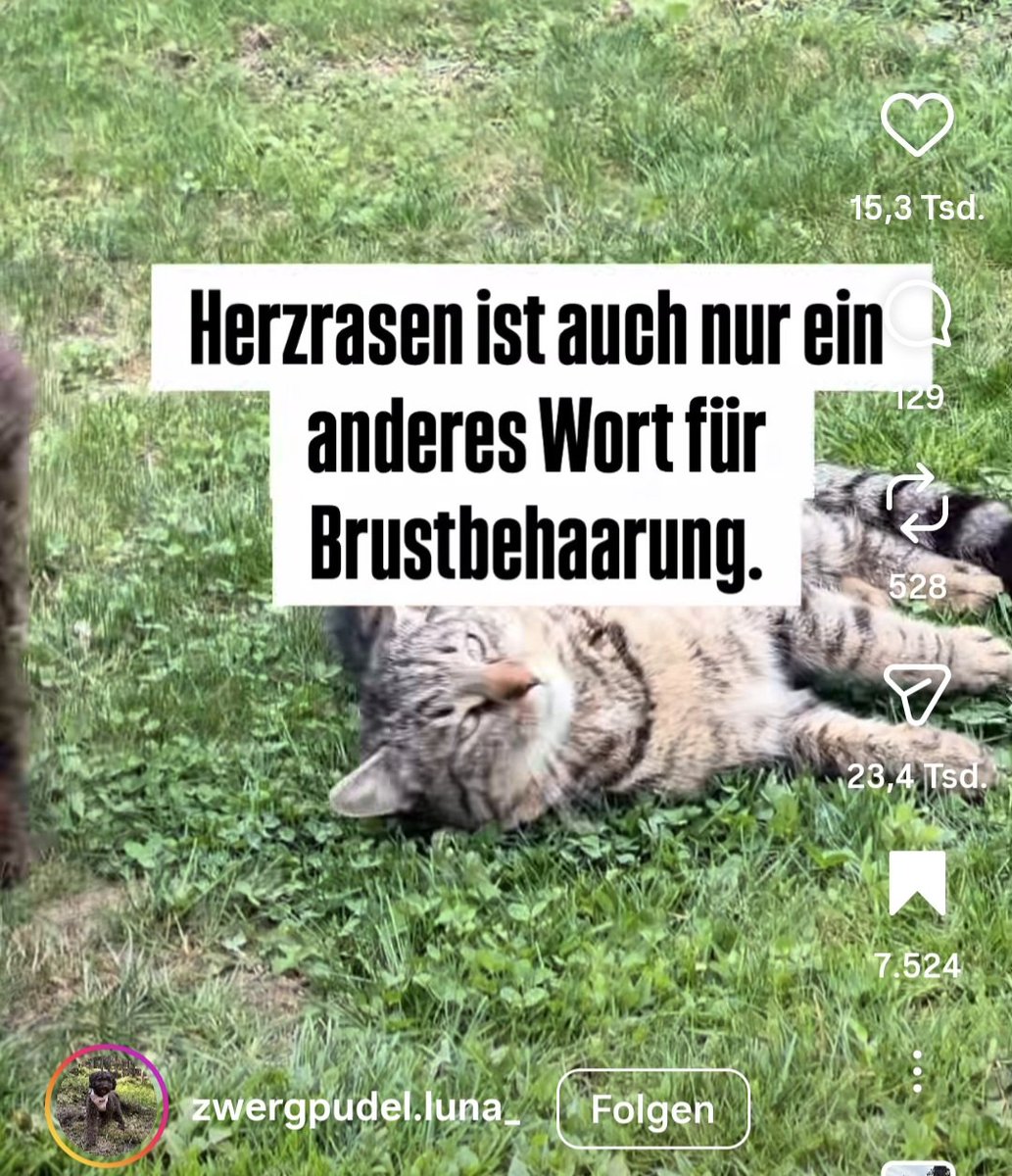 Quotenfrau18497's tweet photo. #netzfund
πππ https://t.co/hcdjkiZWaG