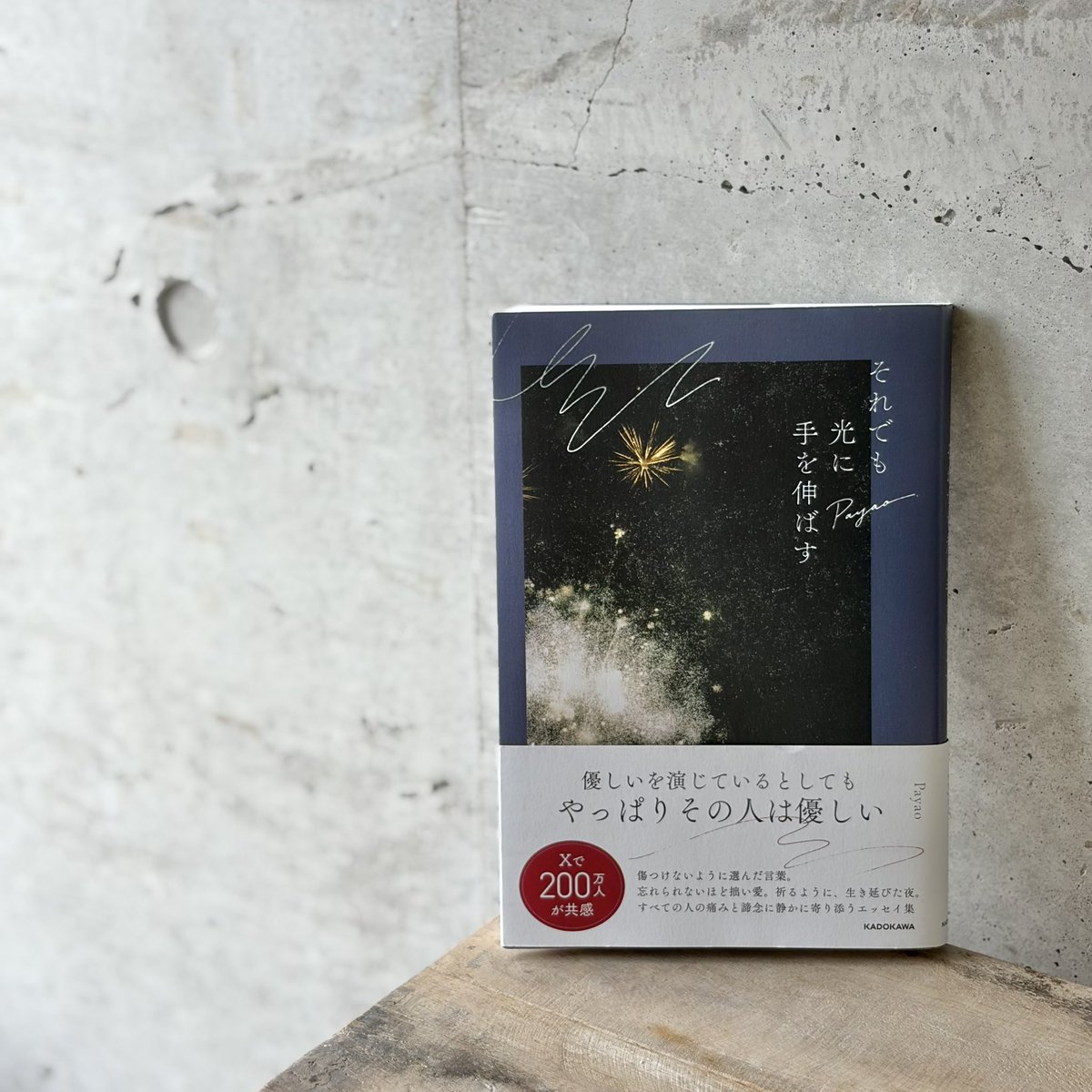 coriander__ww's tweet photo. 『それでも 光に 手を伸ばす』
著：Payao

読み始めてすぐに
メモしたい衝動に駆られたけど
ぜんぶの言葉が尊くて
今はメモするんじゃない
ま���は一読しよう、と
読み進めた

本を読んで
ひとりじゃない
って思えそうになる感覚は
寂しい・逃げてるみたいって
気がしてたけど
案外そうじゃないかもなぁ https://t.co/iSPm1VRCUS