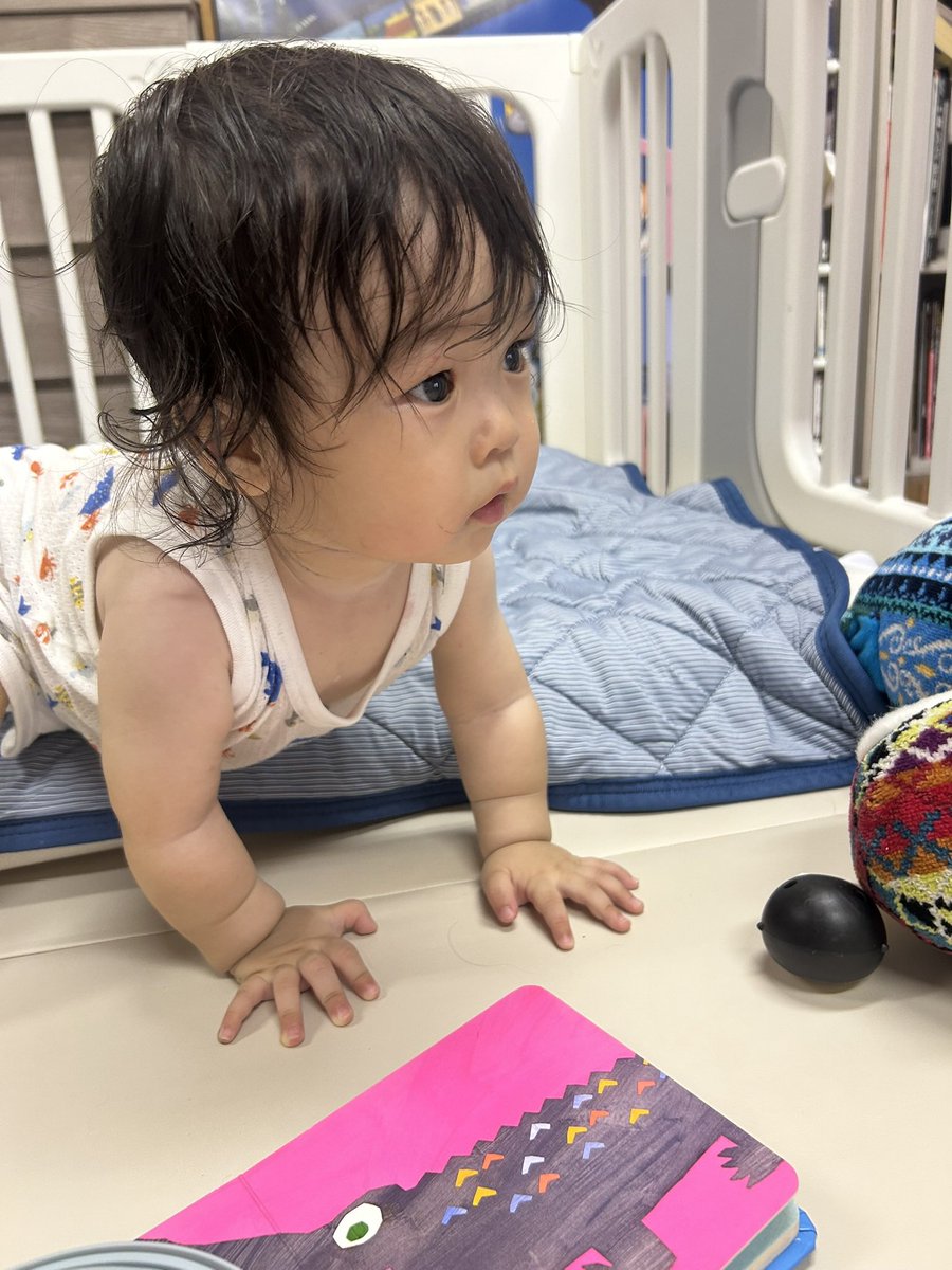 WATARUvox's tweet photo. 超絶親バカだけど君可愛すぎんか、、、 https://t.co/cPFK2Wmm7Y