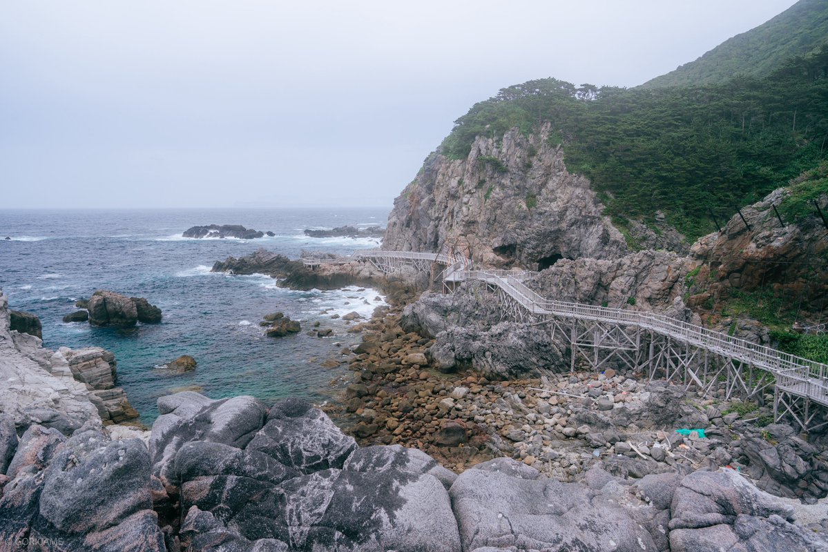 goricame_jp's tweet photo. 🌊 https://t.co/IRz9xR0AQo