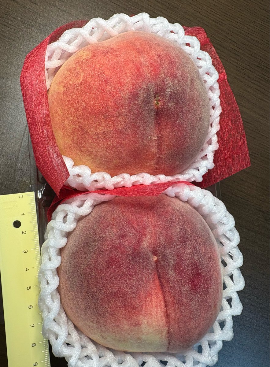 fubasami0908's tweet photo. ご立派 https://t.co/V62sTCXeVd