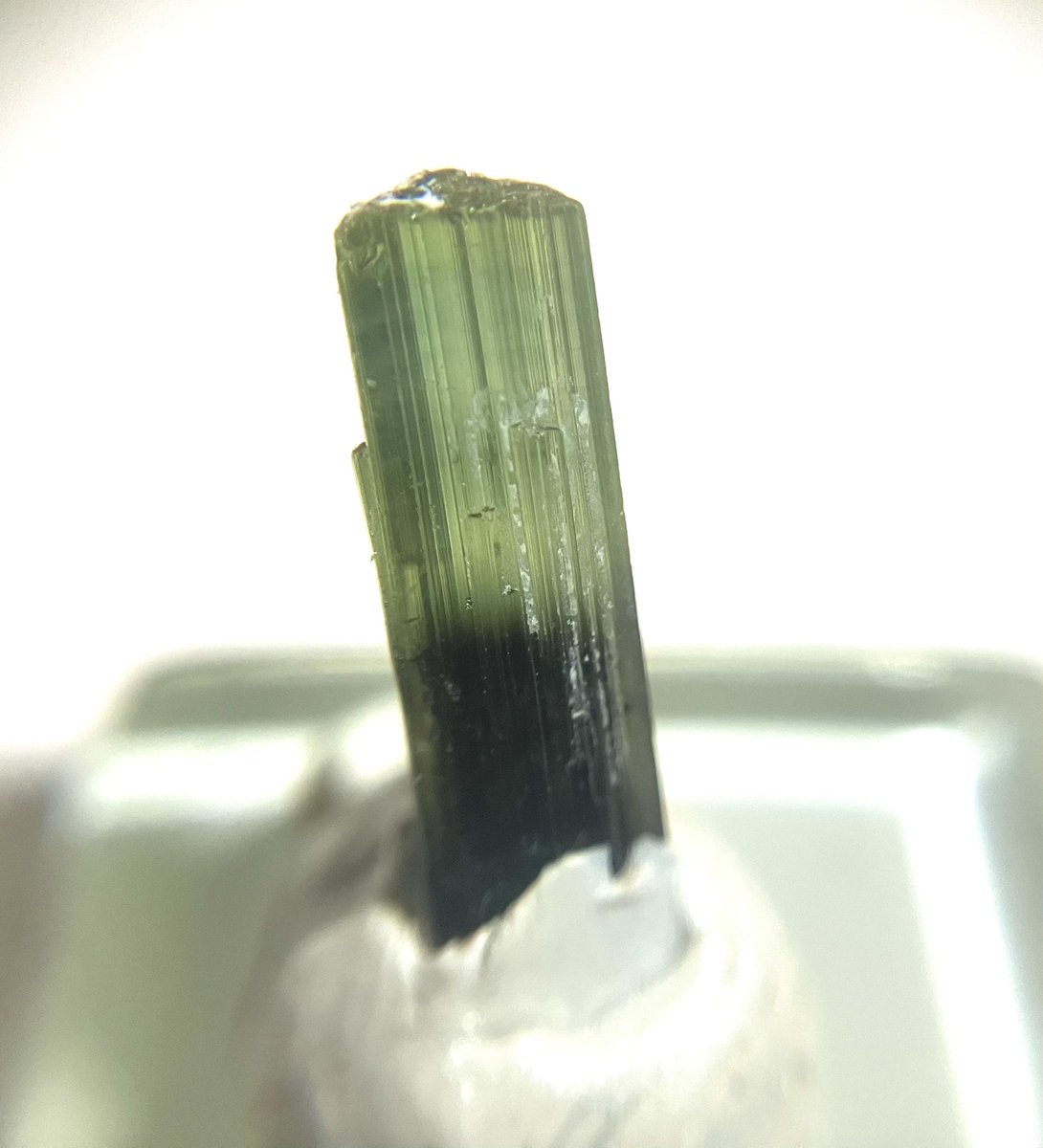 ecotaponta's tweet photo. 本気のパライバトルマリンとは、なんぞや？
よくわからんけど
私の本気のトルマリン(notパライバ)
見てよ https://t.co/RxNEeXM77r
