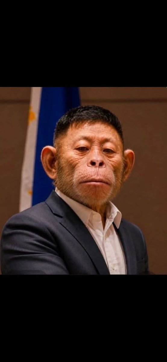 DonaldPons67691's tweet photo. @XeproCN @kikopangilinan The Real Chinese Monkey.  The Chinese Monkey Ambassador to the Philippines 😂 https://t.co/tGcjodBfUb