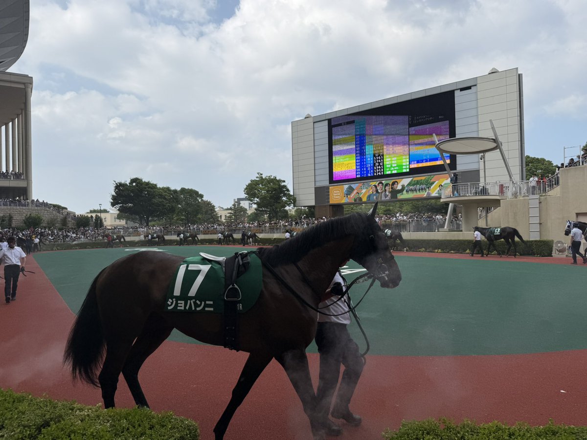 d_yui_b's tweet photo. 小倉競馬場楽しかった
朝からちょこちょこ当たって記念までプラってたけど記念外したから1万円負けでした
そして負けたので焼肉行ってきました
美味しかったです https://t.co/ILa2IN0sY6