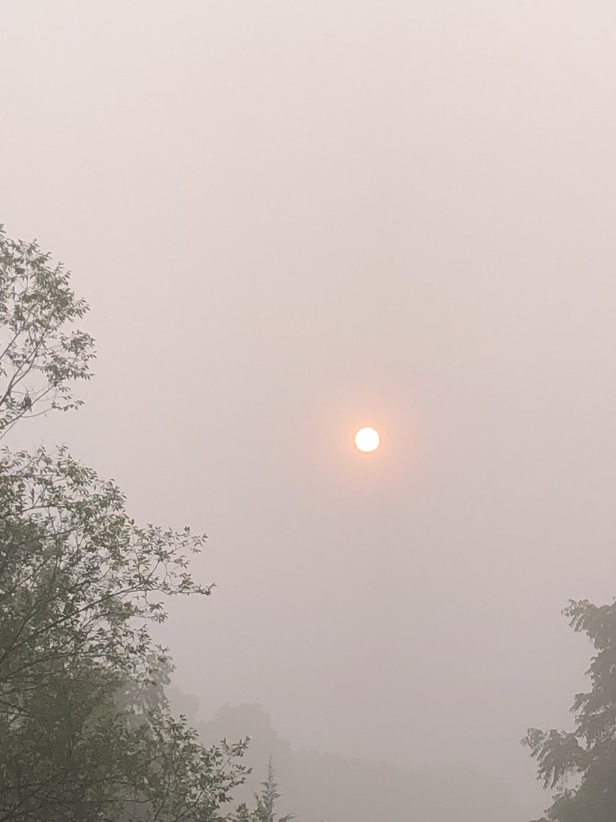 StreetWhiskey's tweet photo. Canadian wildfires smoke is back- you shouldn’t be able to stare directly at the sun https://t.co/pvv1eonSEl