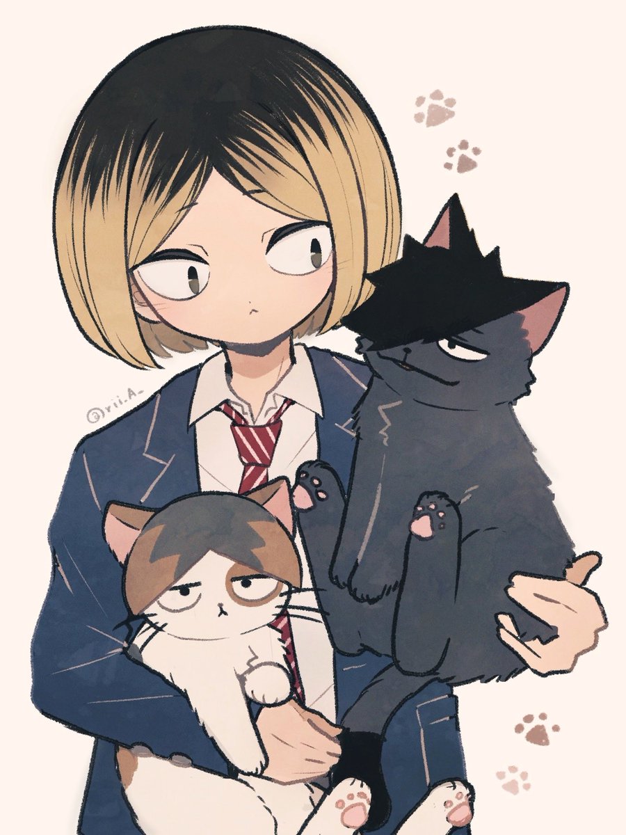 rii_A_'s tweet photo. 🐈‍⬛🐈🐾 https://t.co/ZYGDZZ7DhH