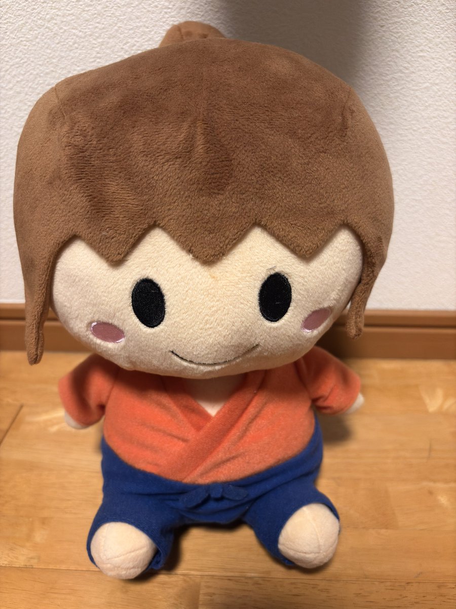 shiroe2623's tweet photo. 坂ぬいを持参する面持ち https://t.co/zEsOQ97cZj