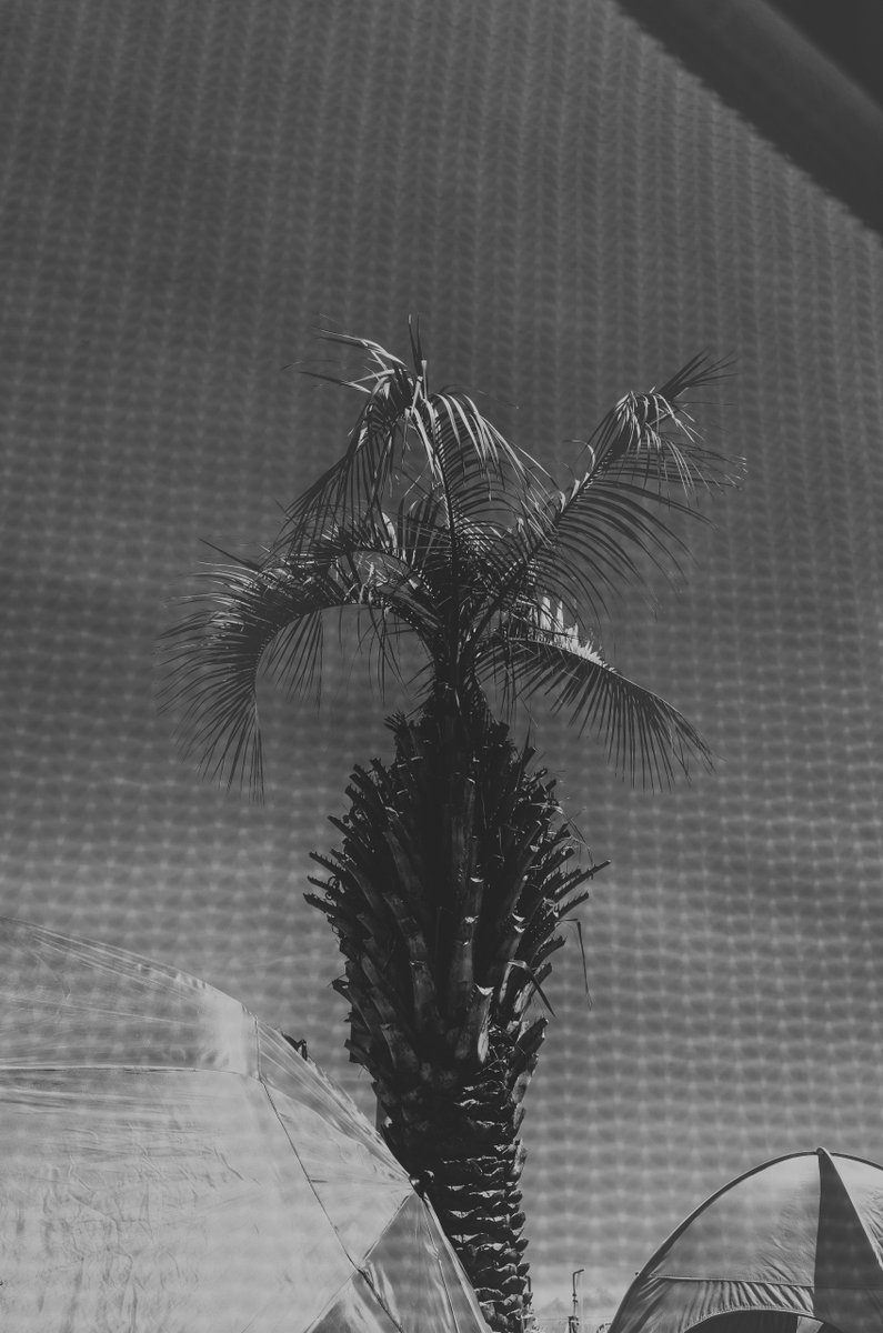 2546 #monochrome #モノクローム